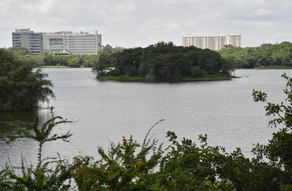 Hebbal lake in Bengaluru.