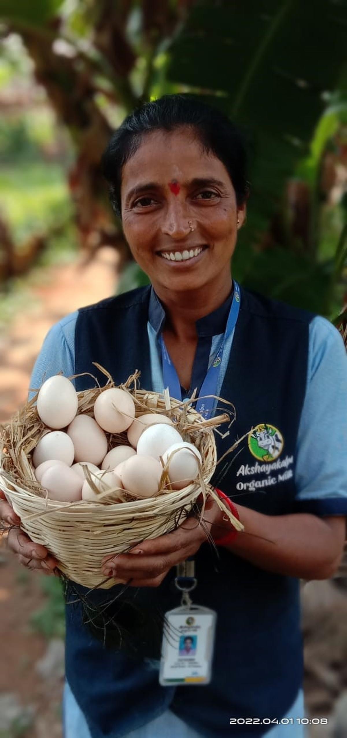 Akshayakalpa now procures country eggs, banana from farmers The Hindu