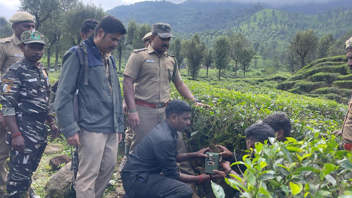 Camera traps placed to monitor leopard at Valparai tea estate following minor girl’s death