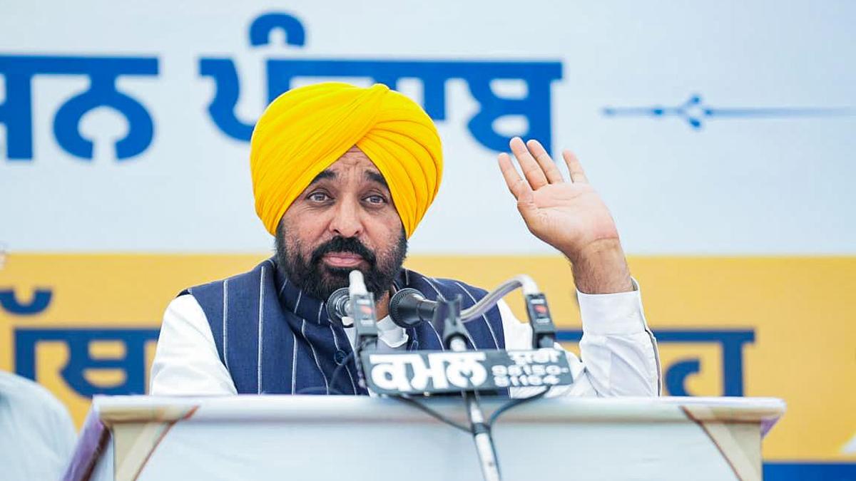 Punjab government to remove stray dogs from high footfall public spaces following Supreme Court order