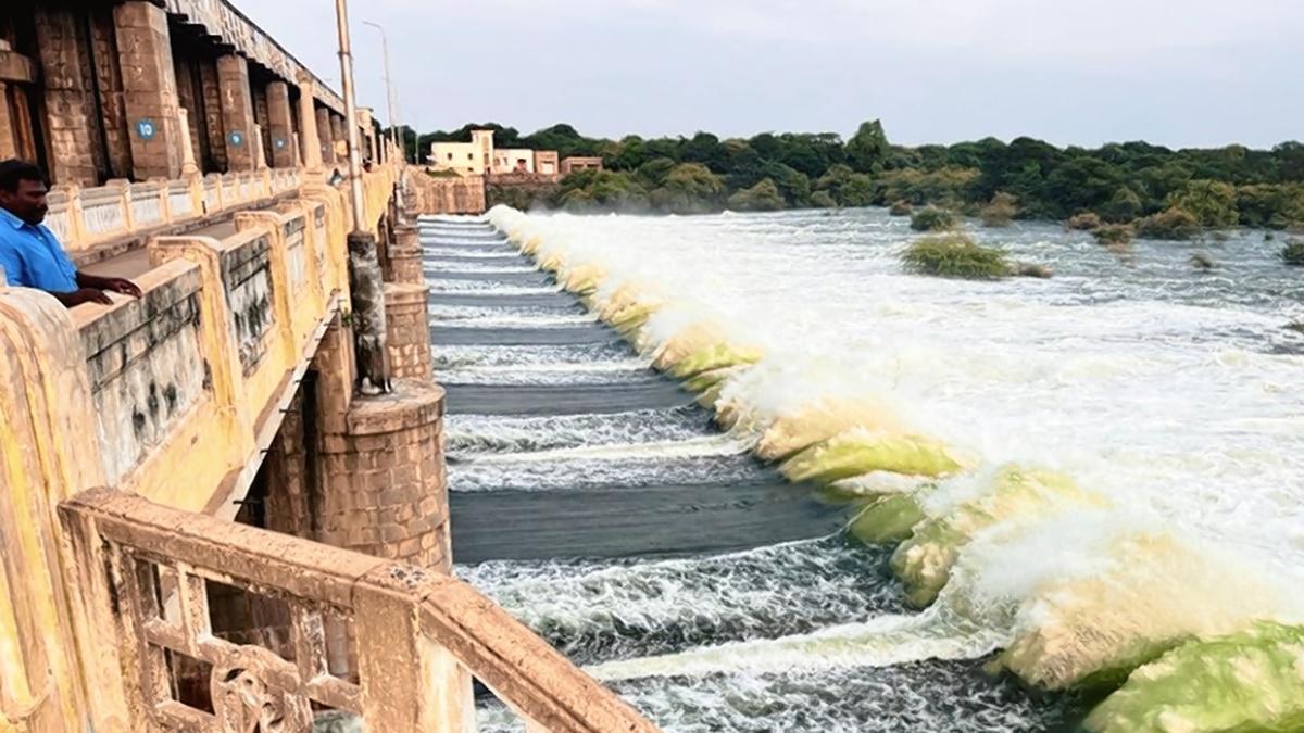 Flood alert issued to 14 villages as water from Sathanur dam in Tiruvannamalai released