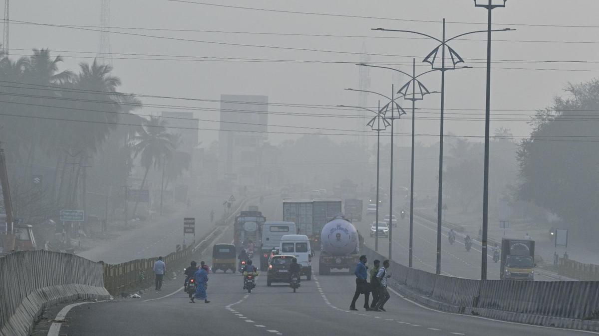 Fog, mist to persist across T.N. as winter conditions extend into mid-February