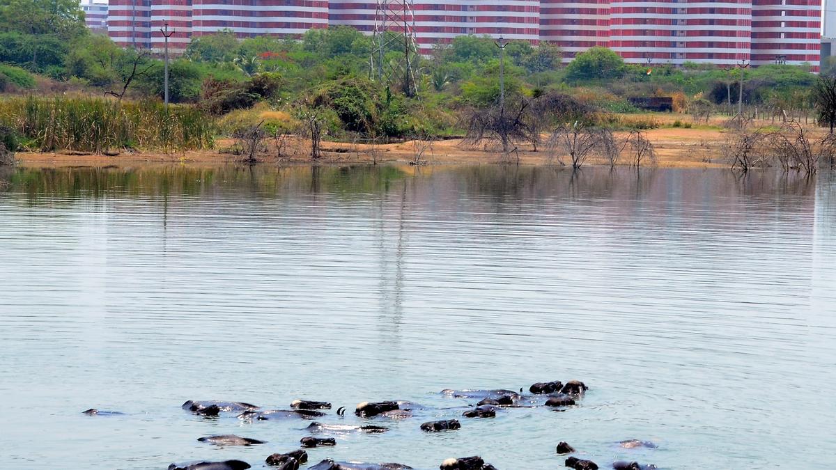 Day temperatures in Telangana likely to rise and reach a peak in May
Premium