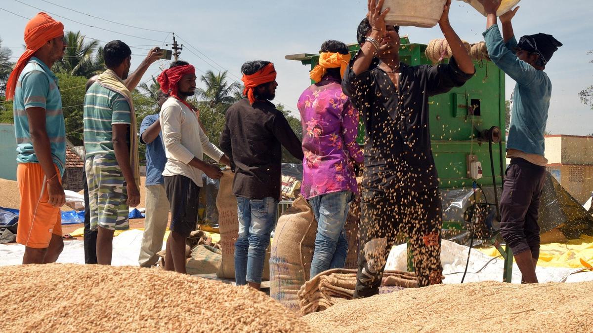 Migrant workers fill gaps in Tiruchi&rsquo;s farm sector