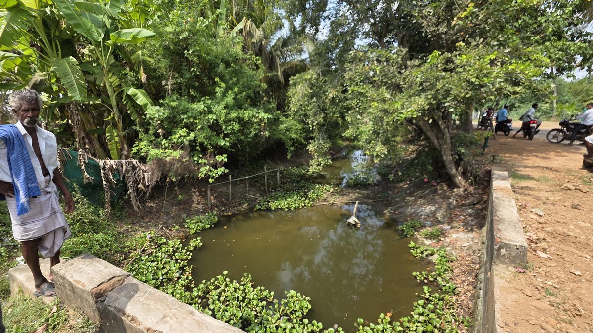 17 panchayats, 21 sites and a community help scale up revival of water resources in Nagapattinam district