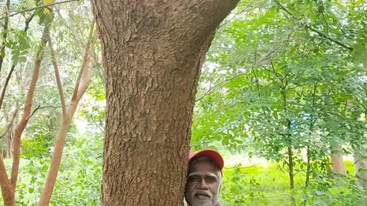 ‘Tree man of Channapatna’ leaves behind a legacy of environmental stewardship