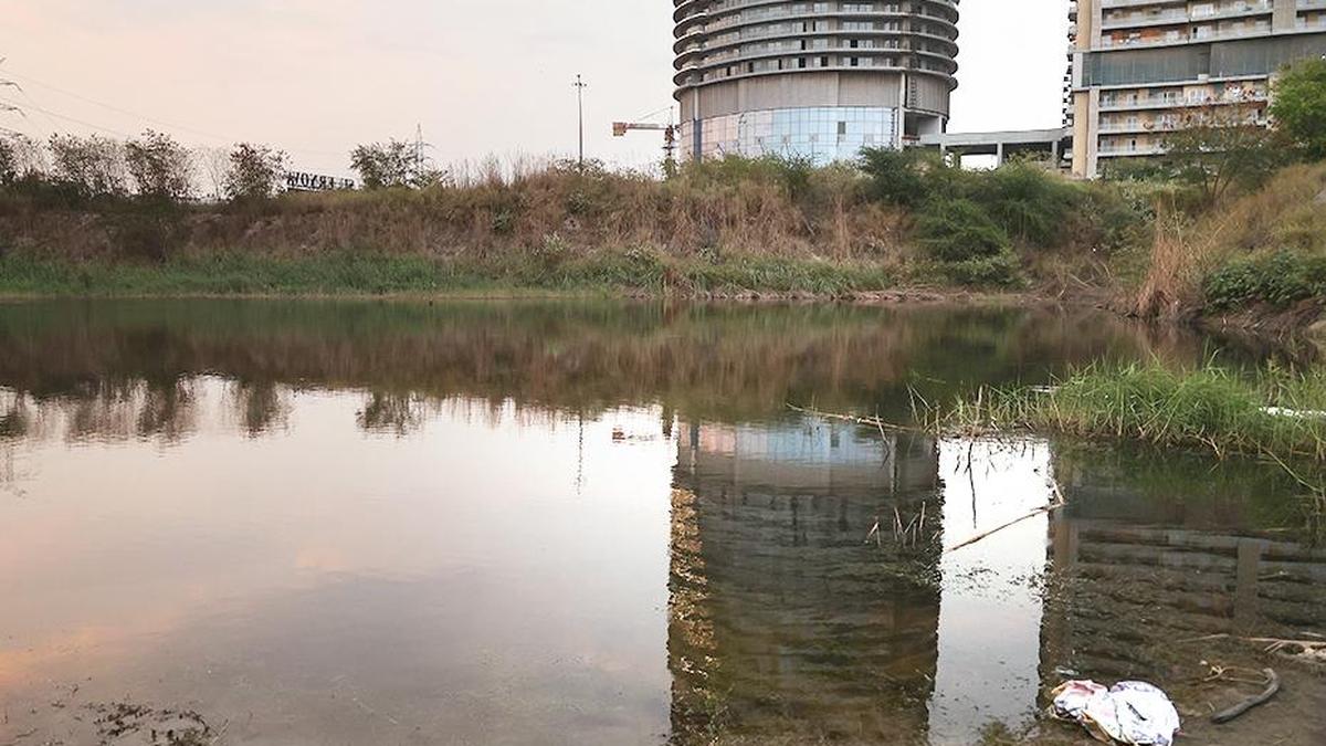 Noida drowning: FIR filed against three friends of deceased student