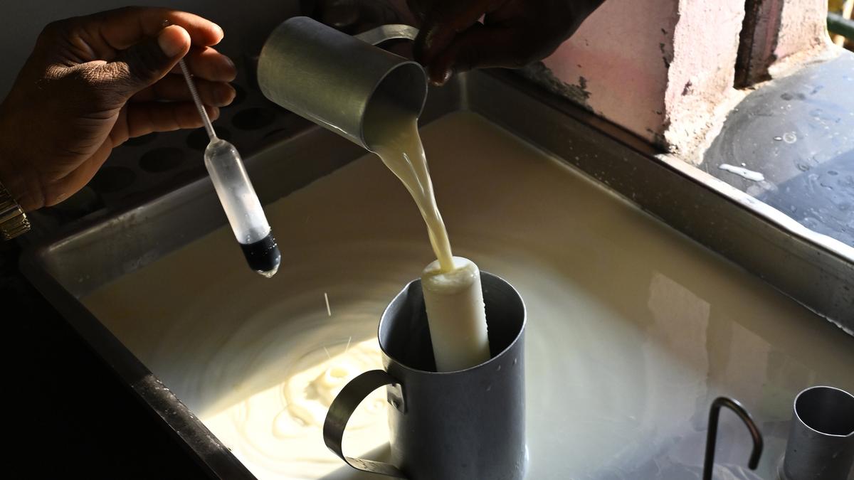 Milk adulteration in Anantapur: Upa-Lokayukta orders crackdown