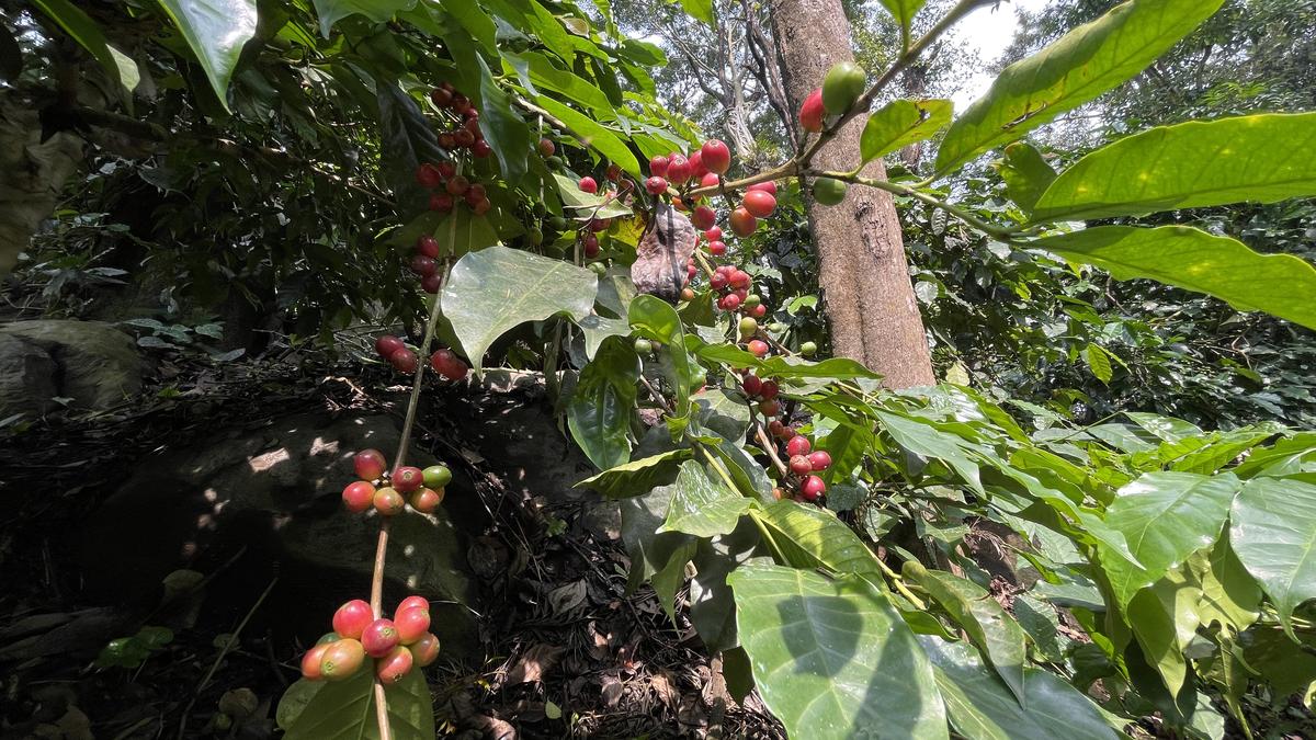 Here are the big stories from Karnataka today