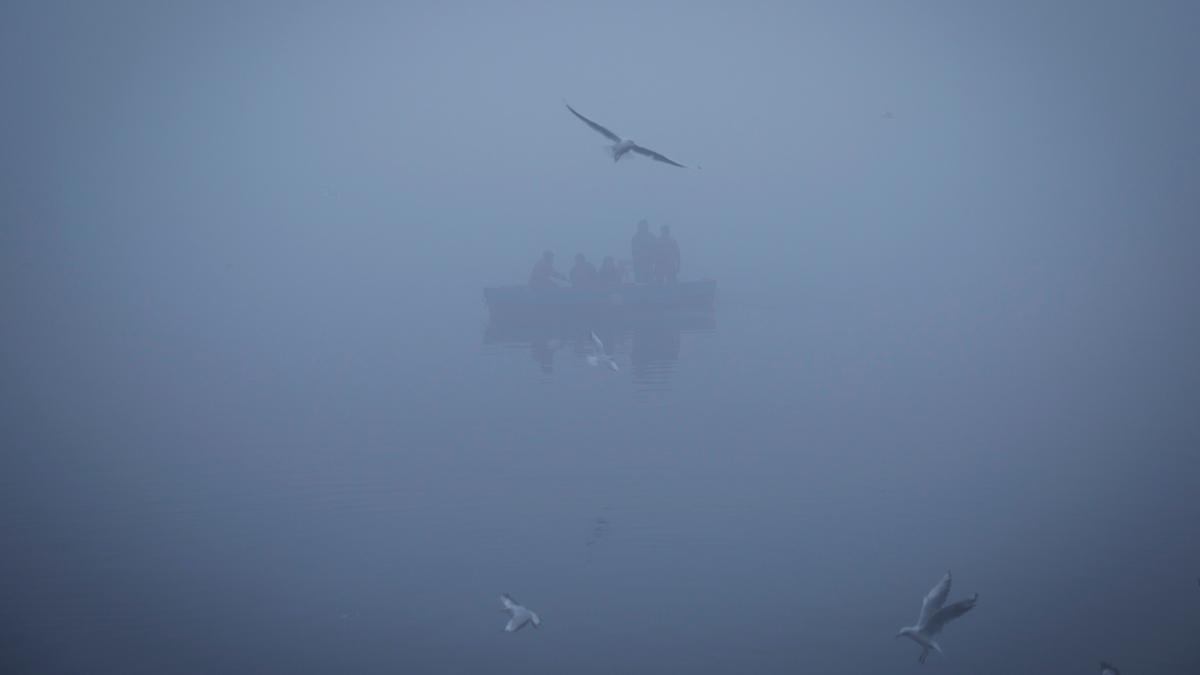 Delhi wakes up to dense fog as cold waves grip city, flights disrupted