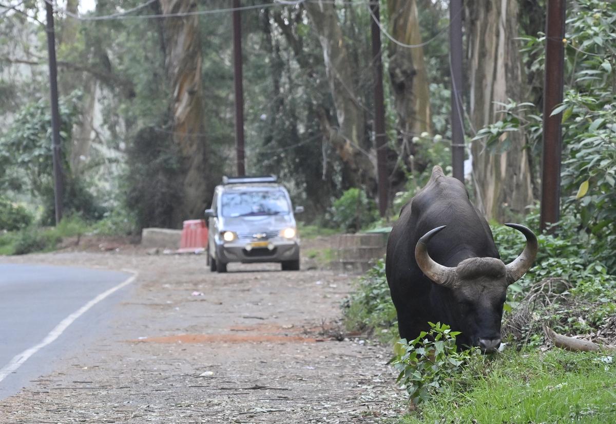 10214 10 7 2025 15 36 17 1 SAT68601