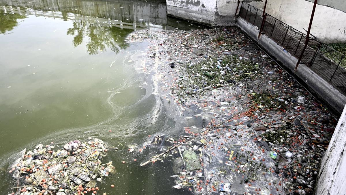 Dead fish found floating in Kanirowther Lake; residents blame industrial effluents