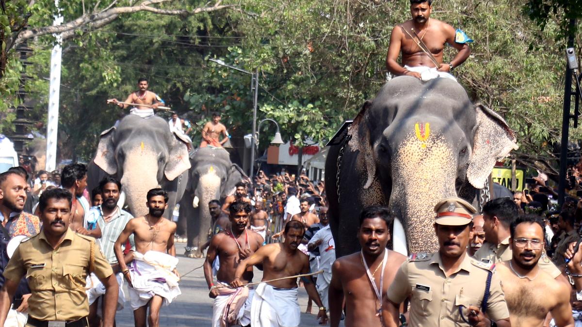 Elephant race marks beginning of Guruvayur festival 