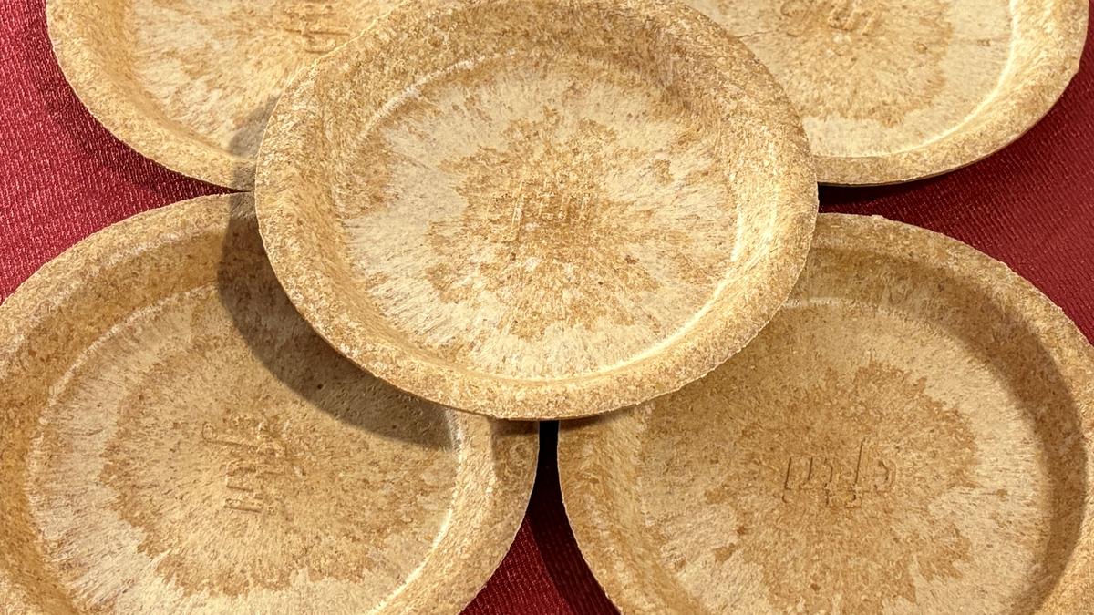 CSIR-CFTRI develops biodegradable plates