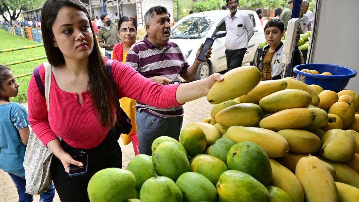 Response to mango mela at Lalbagh better than last year 