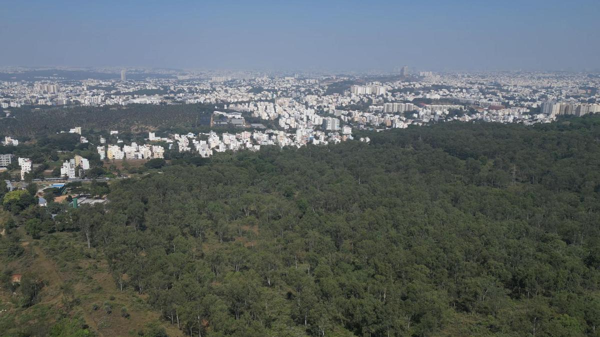 Bengaluru NGO helps replenish water sources inside Turahalli forest