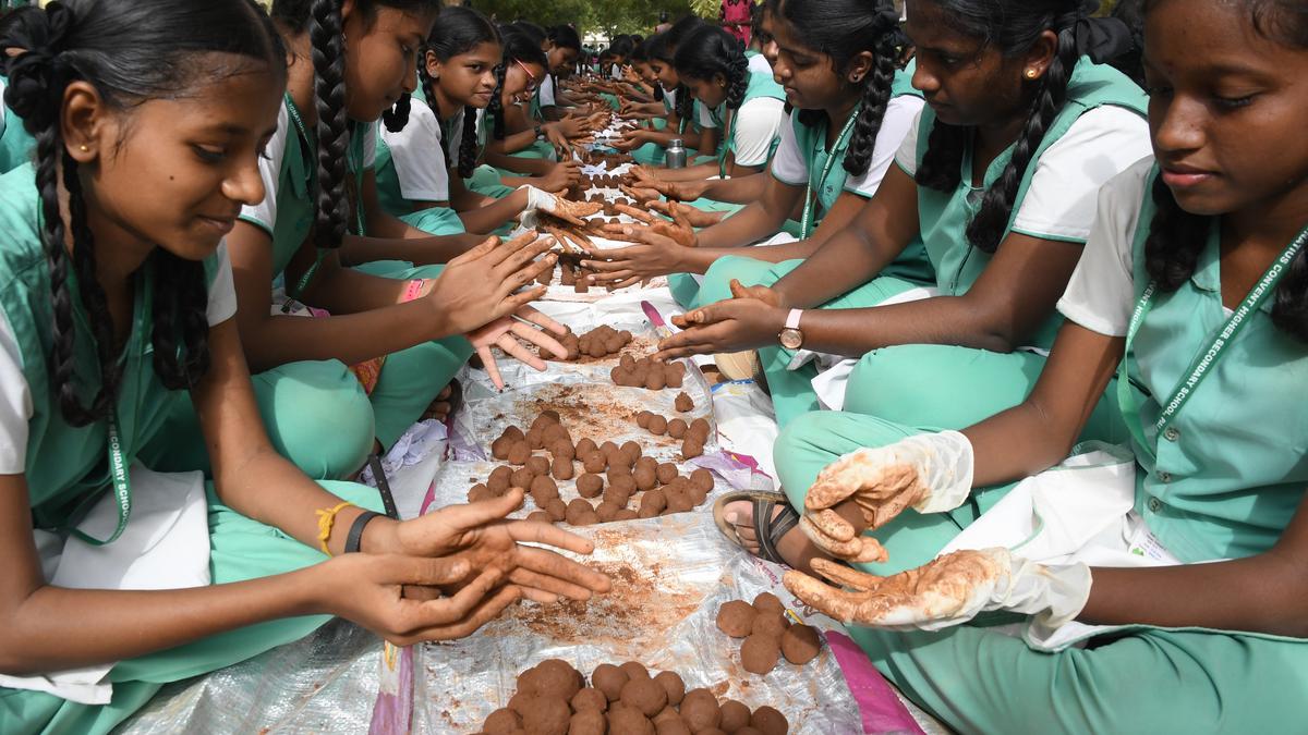 Students make seed balls; to be sown along Tamirabharani watercourse