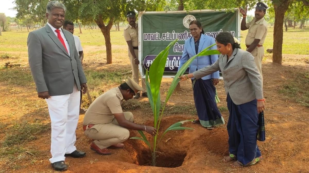 Sapling planting drive held on prison premises