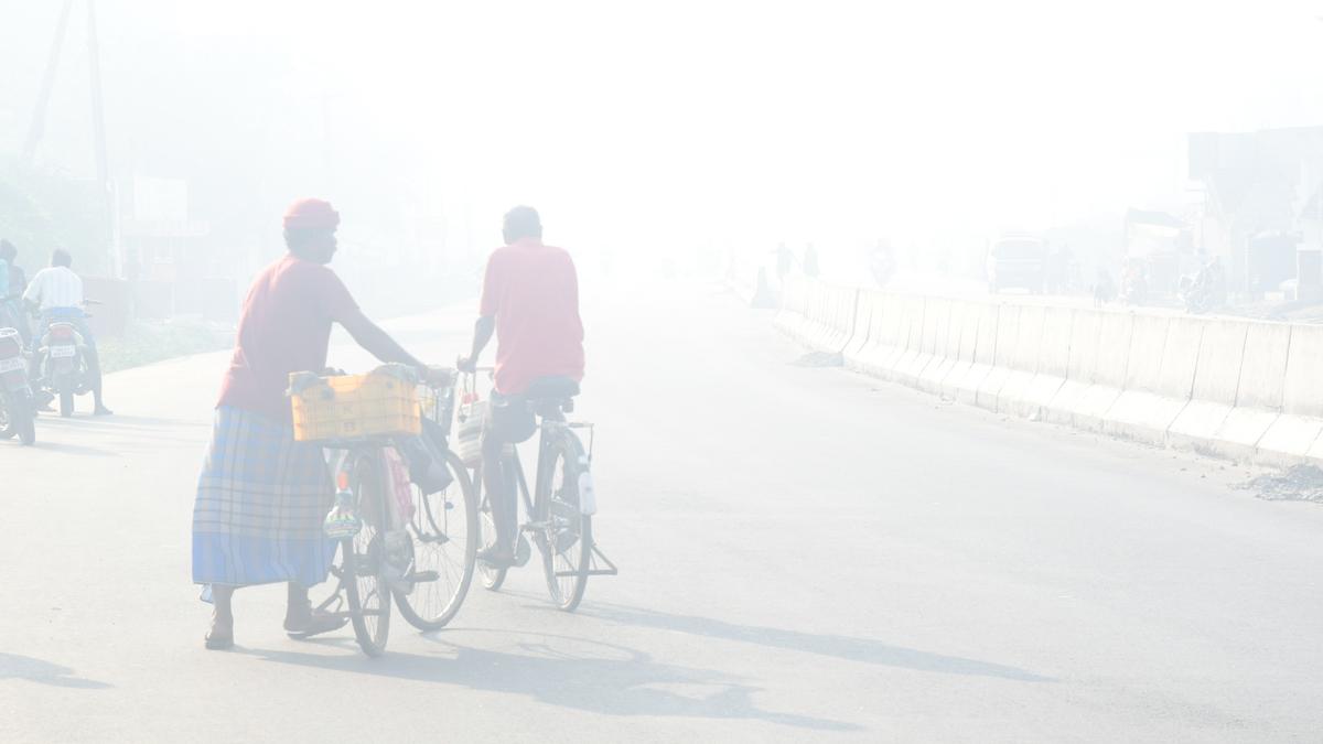 Fog disrupts vehicle movement in Erode