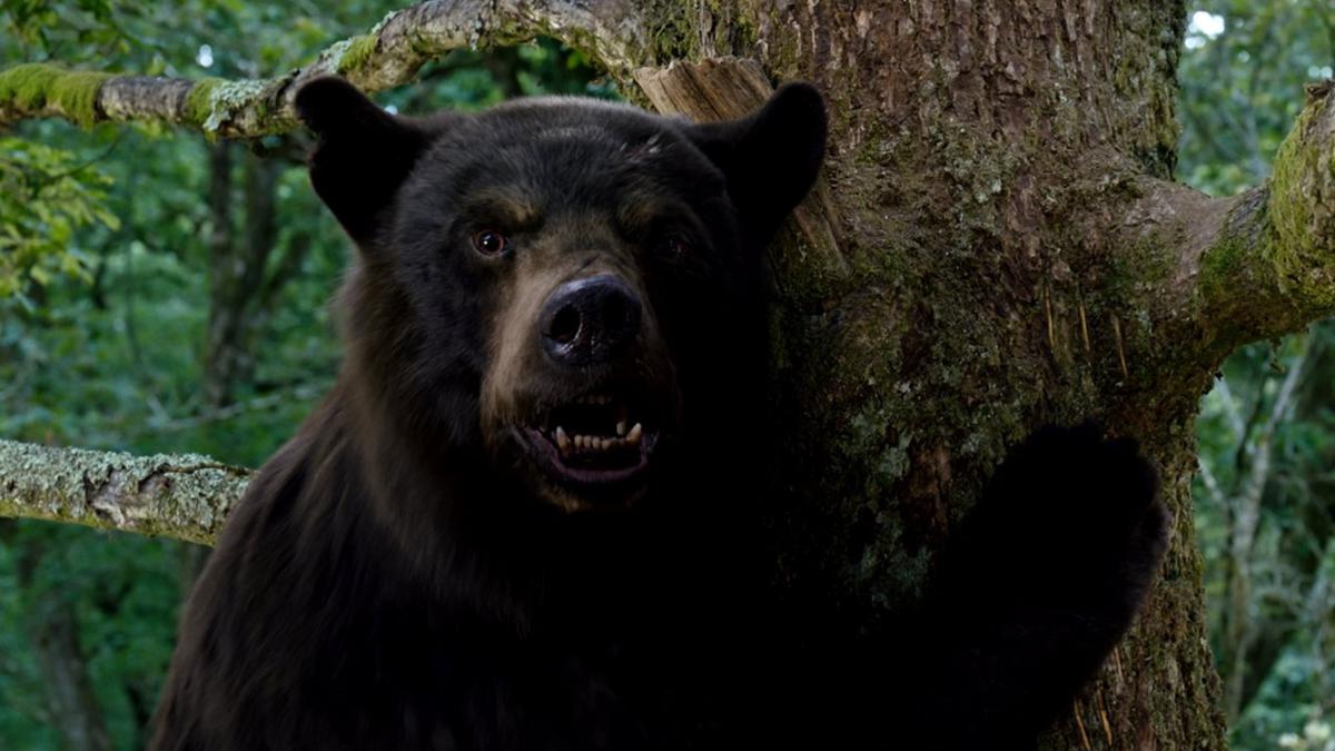 ‘Cocaine Bear’ movie review: An enjoyably gory, funny creature feature