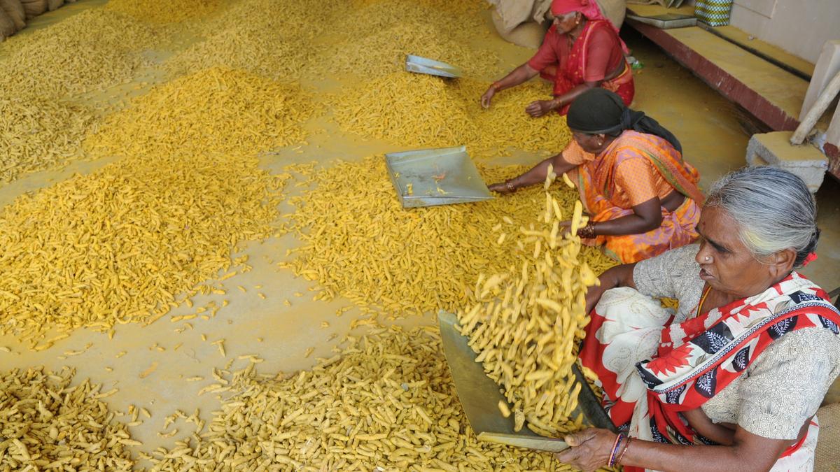 Medicinal foods: A missing category on the regulator’s plate