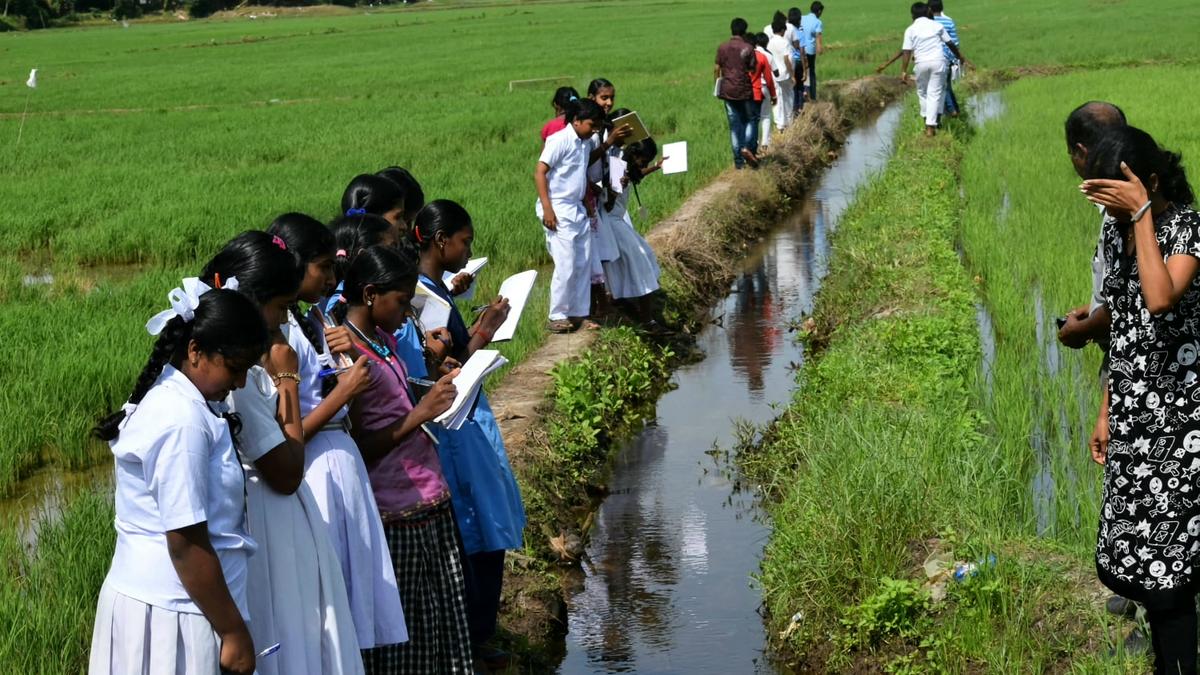 ATREE-CERC leads community-driven conservation of Vembanad Wetland System