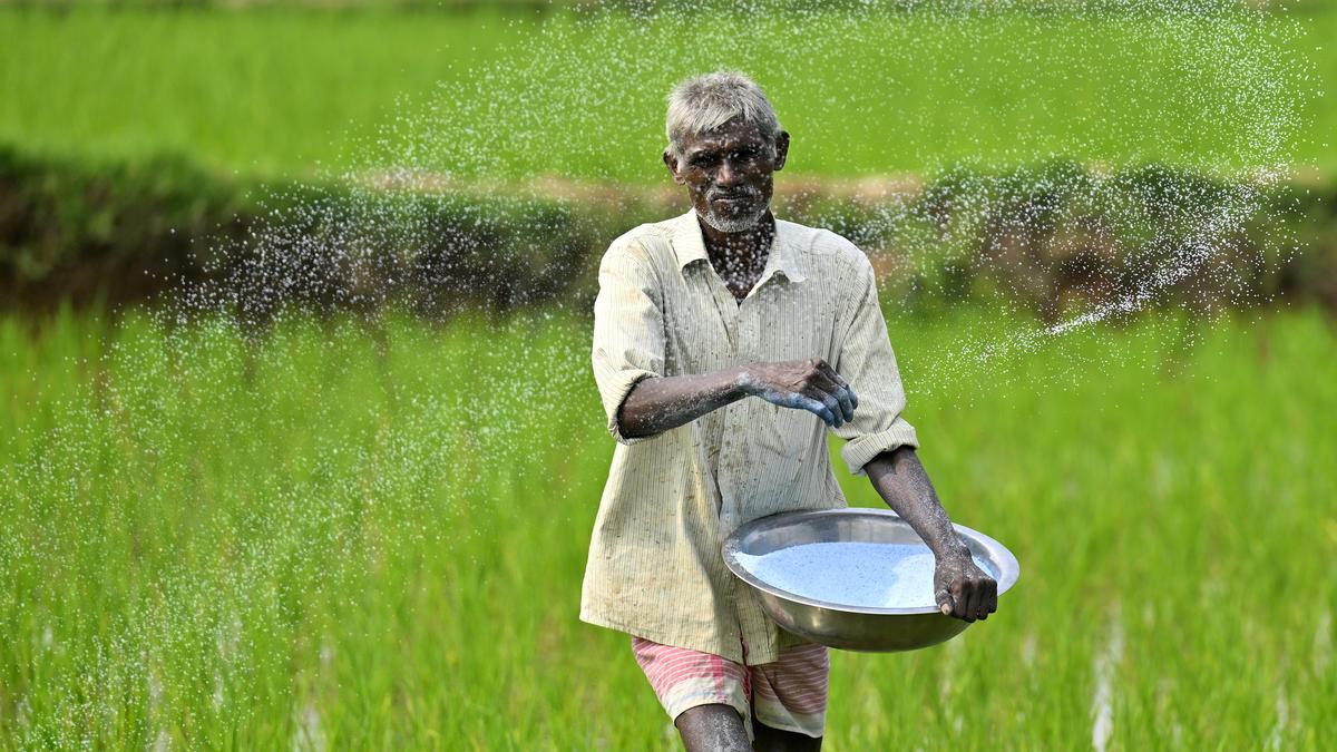 State gets relief as 27,640 MT urea to arrive in the next four days