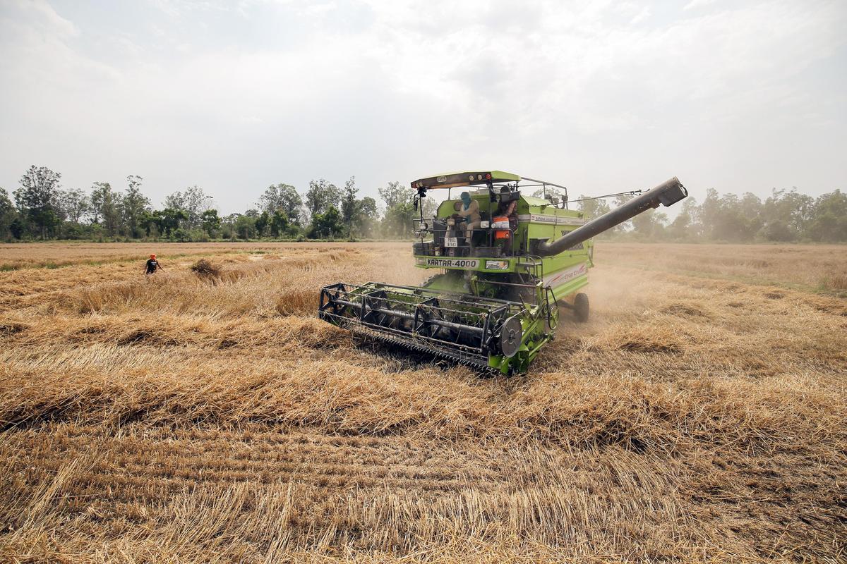 Punjab's border farmers caught between fence and Zero Line - The Hindu