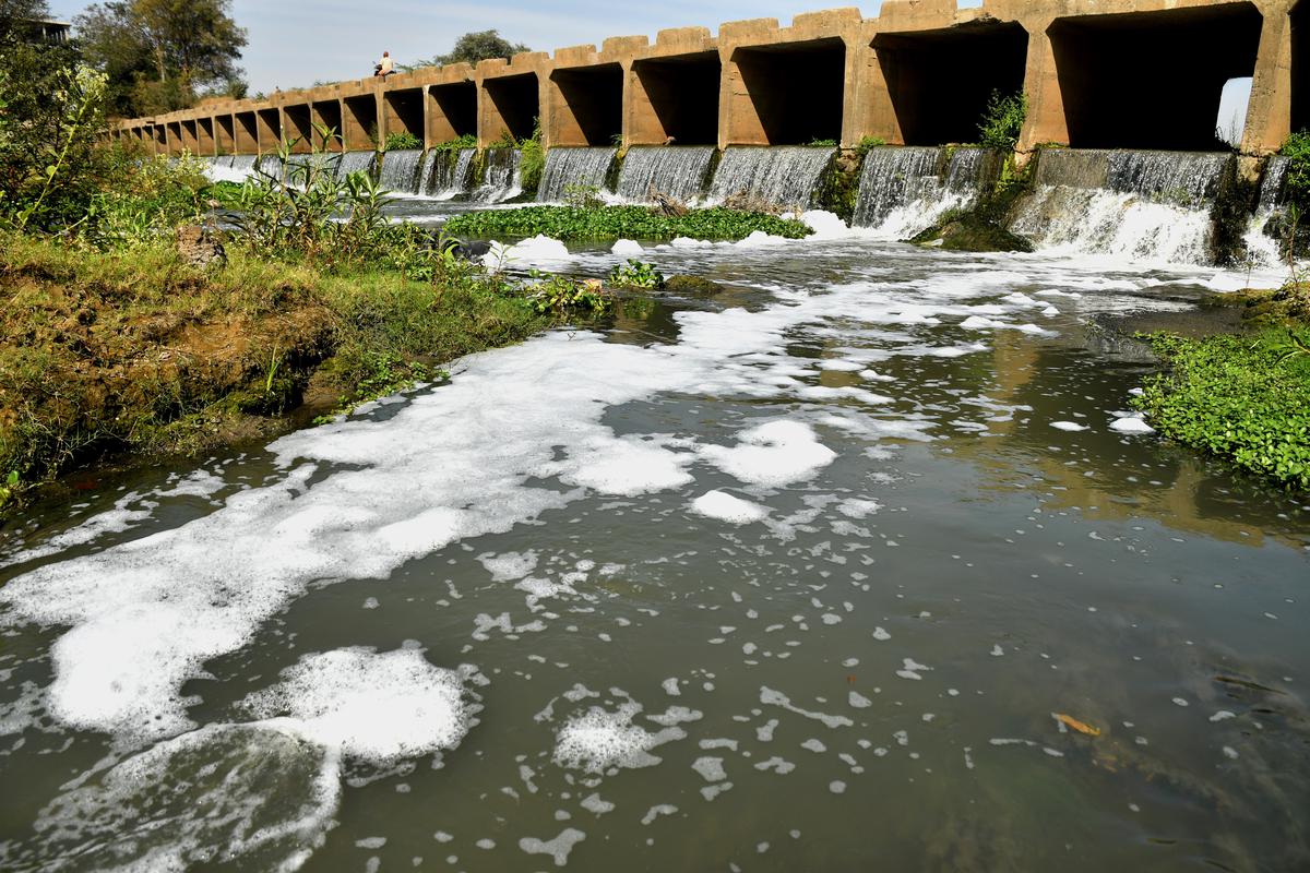 In March last year, a pipe that carried fly ash slurry from the thermal plant to the ash pond reportedly leaked right over the Erai river, a lifeline for the people of Chandrapur.