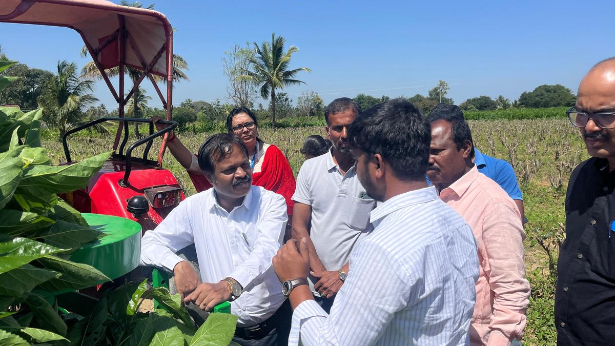 Mulberry shoot harvester-cum-bundling machine demonstrated in Kolar district of Karnataka