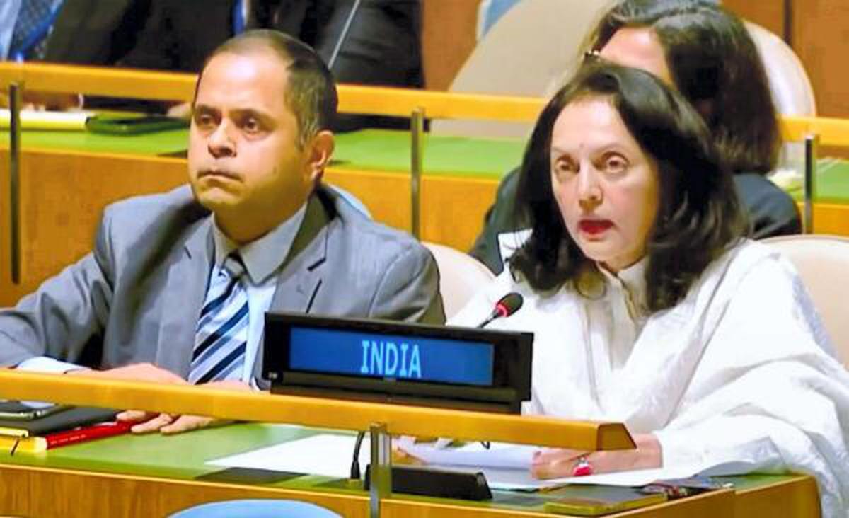 Watch | India at UNGA calls on Pakistan to stop cross-border terrorism