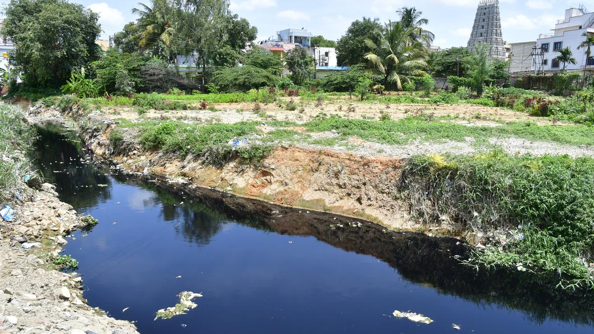 Number of homes that were flooded dropped to 50 from 10,000 in May: BBMP