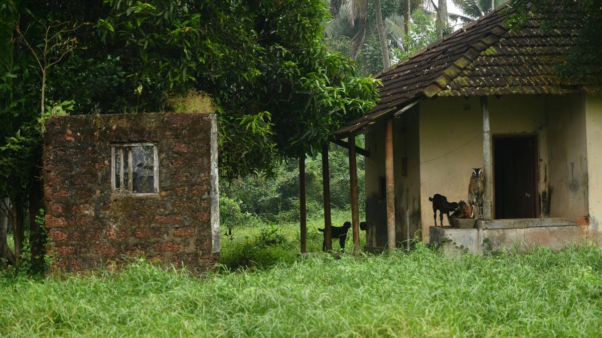 Ray of hope for landowners as NHAI mulls two-lane corridor along Thripunithura bypass alignment