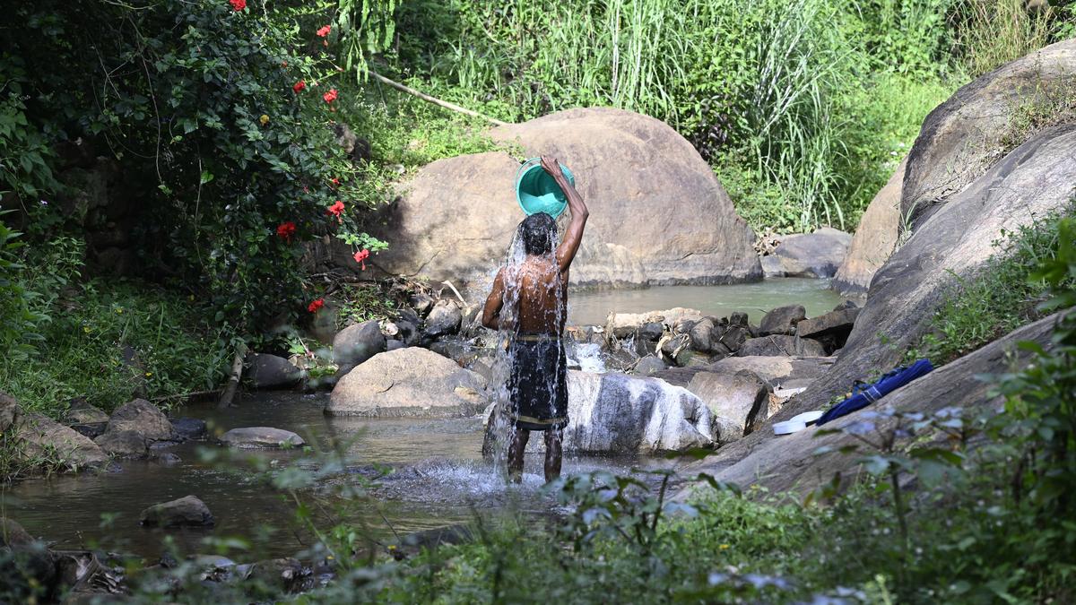 Amoebic meningoencephalitis incidence potentially linked to pollution of waterbodies, rising temperature: Kerala Health Minister