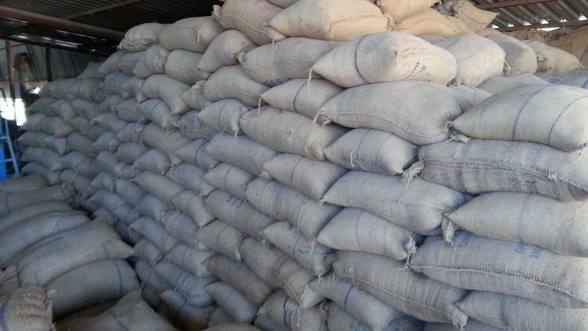 Centre bans export of non-basmati white rice to check price rise