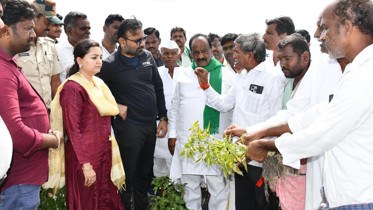 Additional grants towards crop loss disbursed to farmers in Dharwad