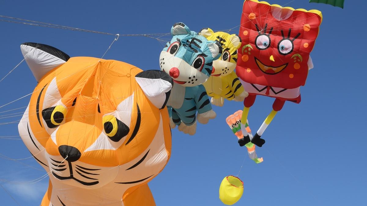 Kanniyakumari Kite Festival enthrals tourists