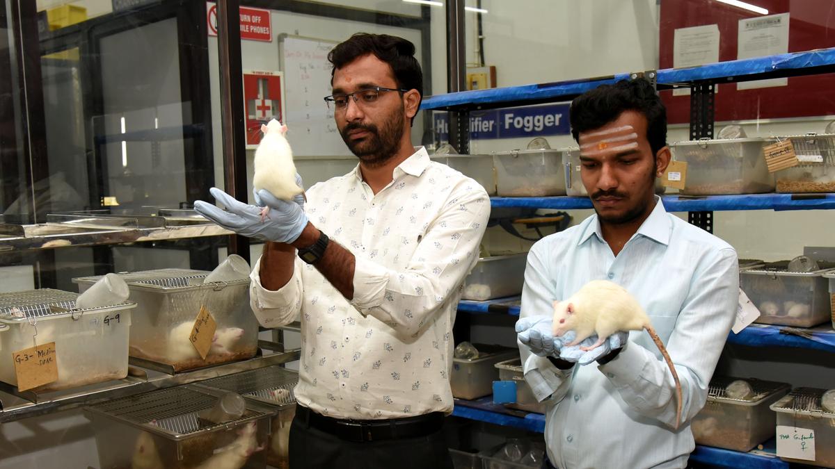 ‘Harmful contents in cosmetics, herbicide lead to endocrine disruption, hormonal imbalance’