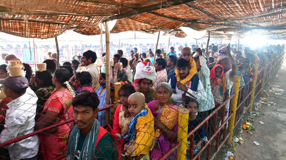 Spiritual fervour pervades through the forests near Medaram tribal shrine 