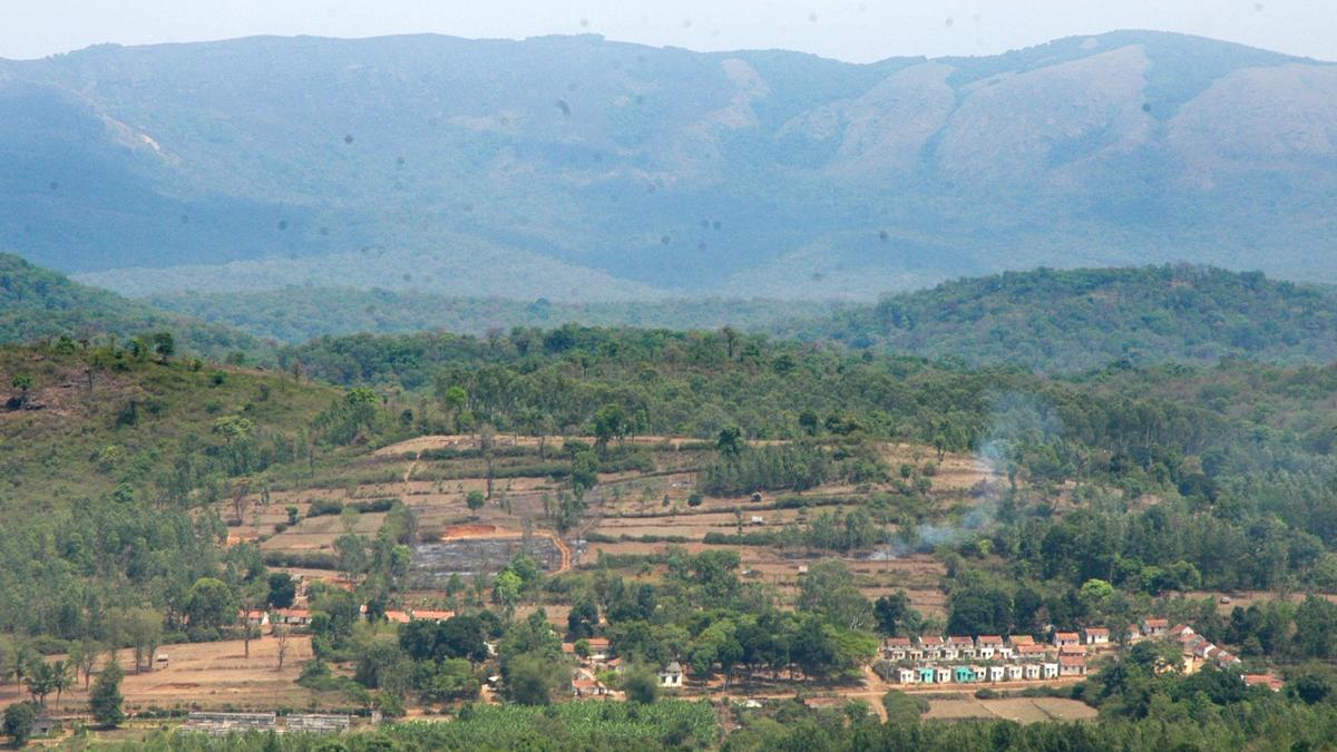 Proposals for commercial activities near BRT Tiger Reserve Eco Sensitive Zone rejected