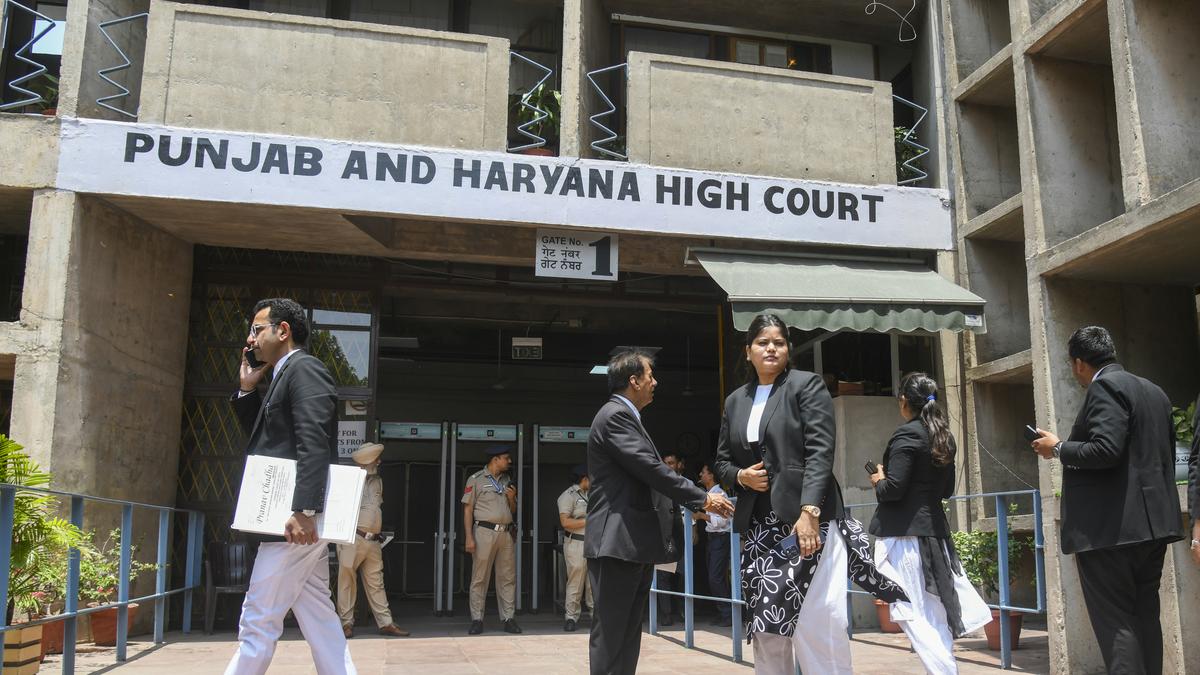 Punjab and Haryana High Court flags gaps in Punjab’s Land pooling policy; says notified in ‘haste’