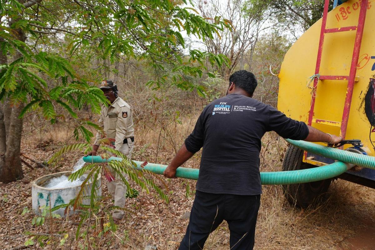 Operation Quench Thirst initiative focuses on replenishing critical water sources inside Turahalli Forest through daily water tanker deployments and installation of water troughs.