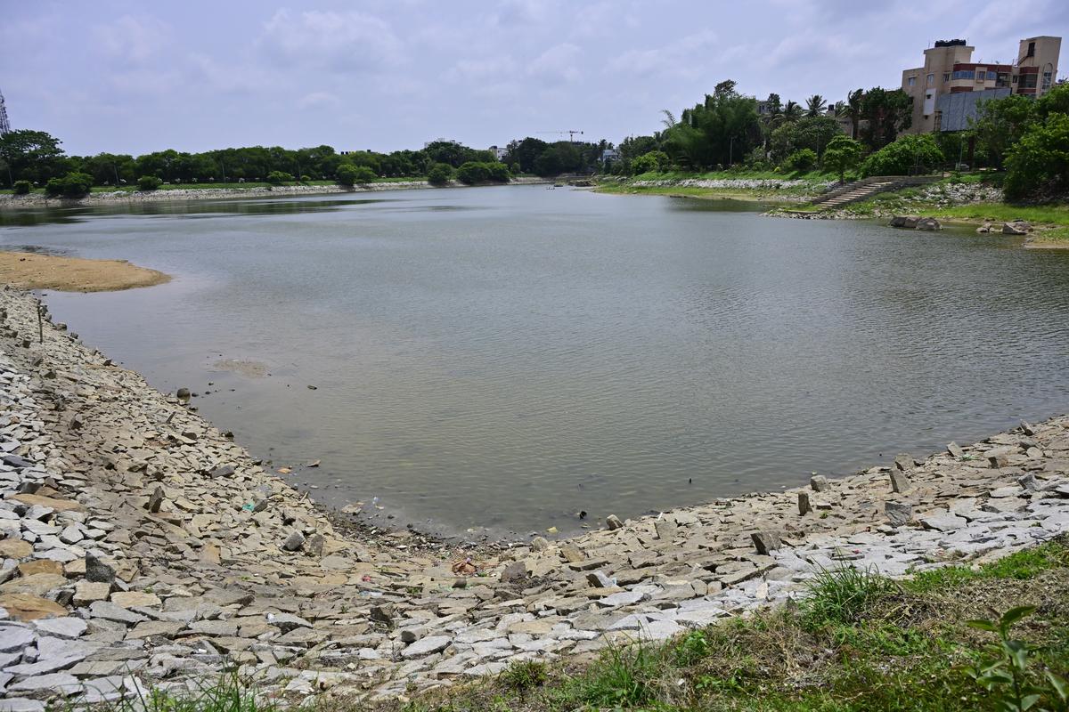 Kothnur Lake in Southern Bengaluru.