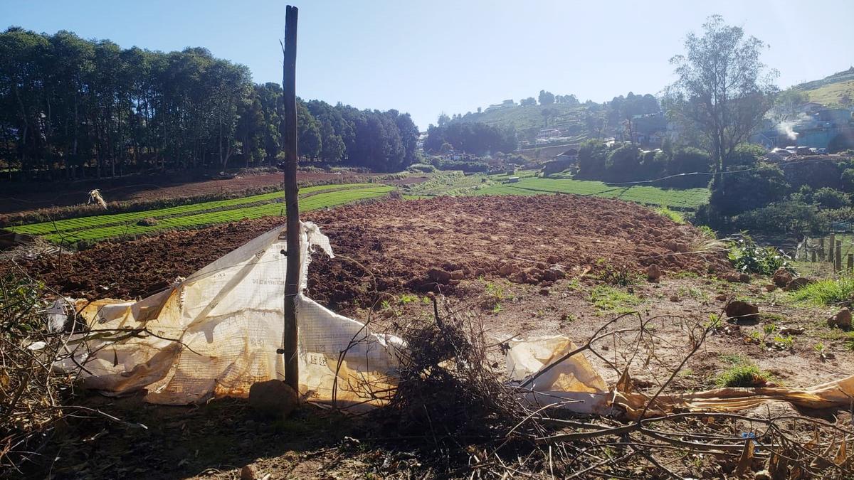 Residents urge government to stop construction of carrot-washing machine in Udhagamandalam