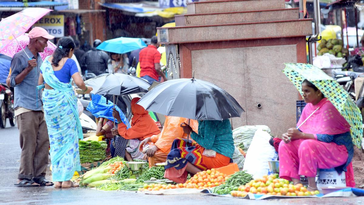 PM-SVANidhi achieves 111% coverage in Yadgir district