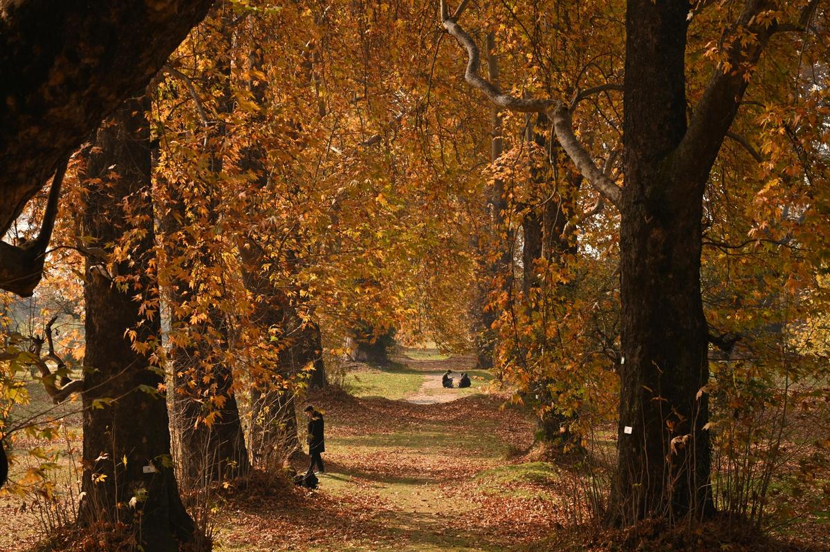 Visitors walk inside a Mughal garden as they enjoy during the autumn season, in Srinagar, Kashmir. 