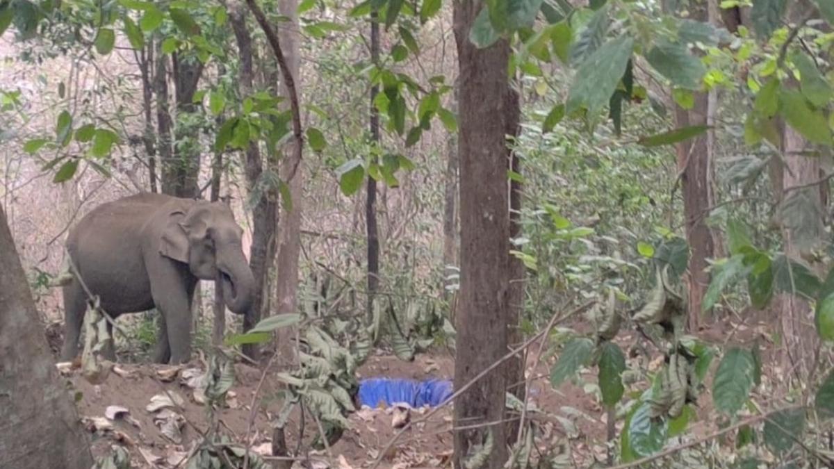 Kerala forest department officials at Inchathotty near Kothamangalam pool in money to build a waterhole for wild elephants