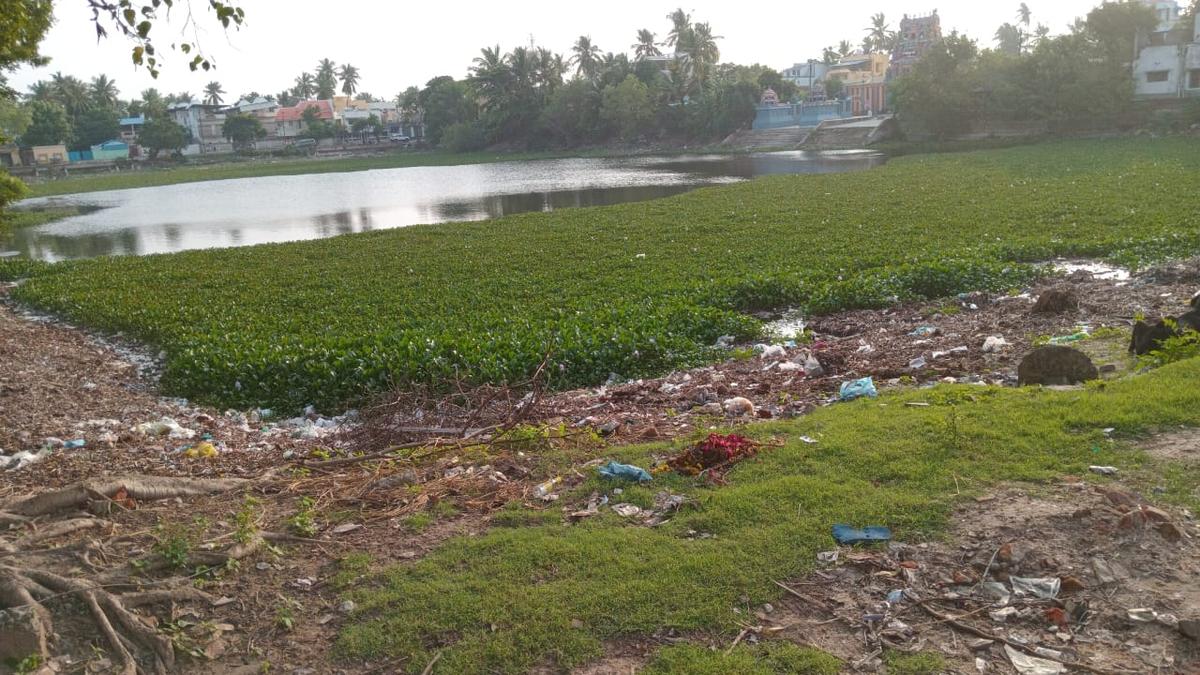 Velipalayam temple pond in Nagapattinam awaits restoration