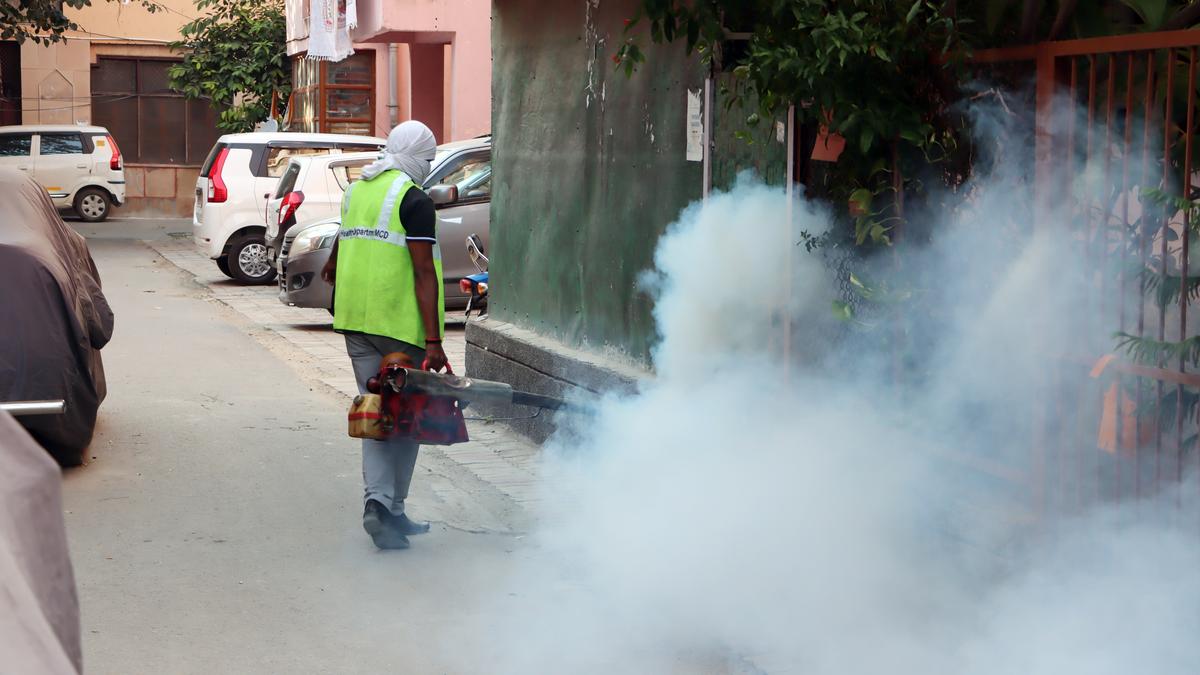 AAP, IVP back striking MCD workers