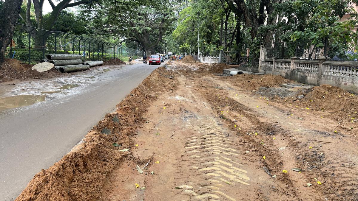 BBMP bans road digging for 3 months, to no avail